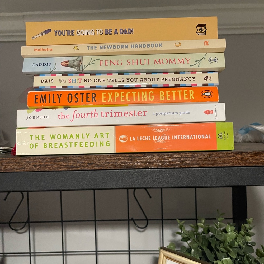 Pregnancy and Parenting Book Collection